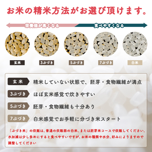 【一等米 選べる精米方法：五分つき】令和7年産 秋田県産 あきたこまち10kg(5kg×2袋)【こまちライン】