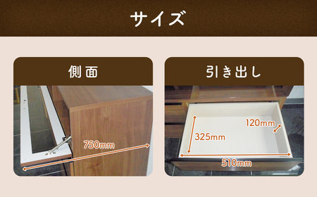 リル 120 AVボード 収納 家具 インテリア