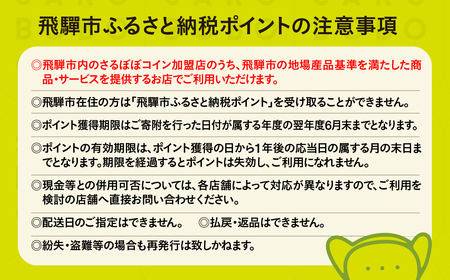 さるぼぼコイン 飛騨市ふるさと納税ポイント 3,000pt [GV004]