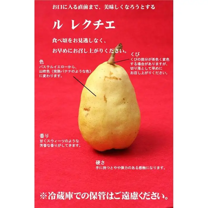 【2026年先行受付】新潟県産 西洋梨 ル・レクチェ 贈答用2kg 期間限定2026年12月上旬～12月下旬まで出荷予定