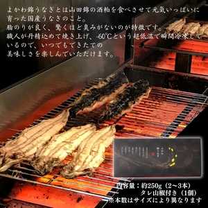 アラジン カセットコンロ 白 よかわ錦うなぎ アラジン