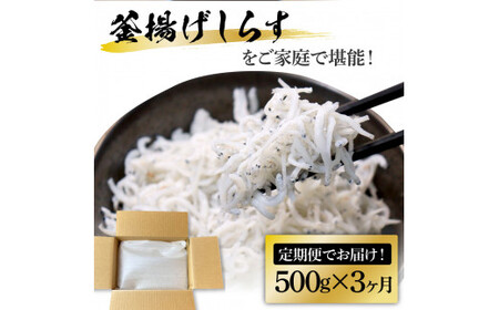 《3ヶ月定期便》高知県産釜揚げしらす500g 