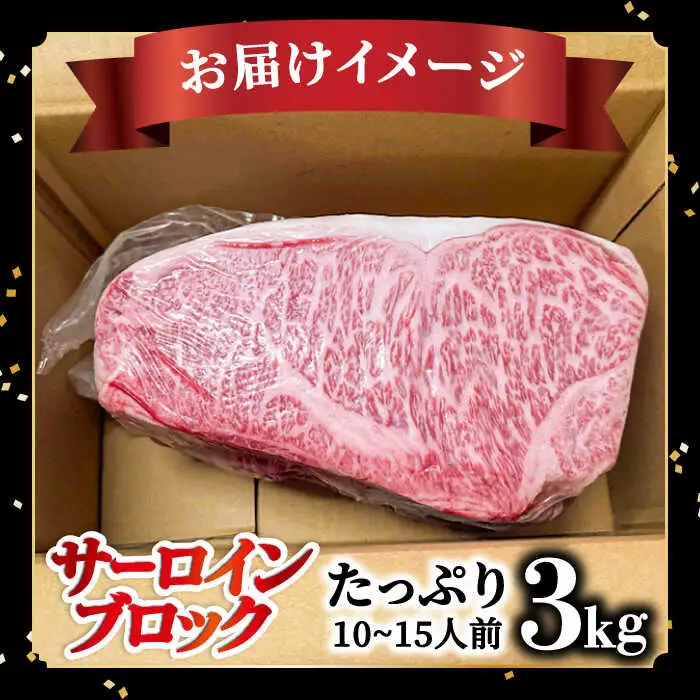 【内閣総理大臣賞受賞】長崎和牛 サーロインブロック 約3kg / ステーキ肉 サーロインステーキ / 南島原市 / 島原雲仙農業協同組合 [SES001]