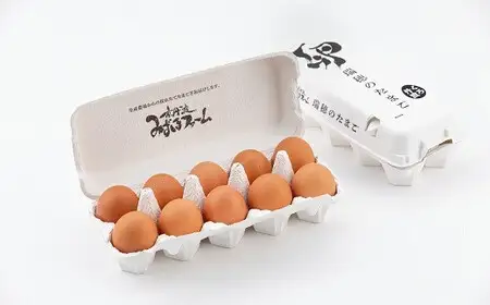 卵 3種類たまご 京丹波産鶏卵 30個 6回定期便
