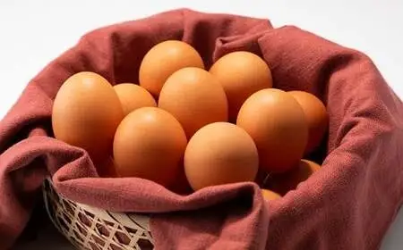 【卵 定期便3か月】京丹波こだわりたまご「葉酸たまご」30個×3回