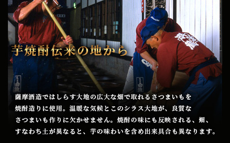 【焼酎屋の梅酒】「蔵うめ」14度 720ml 2本【黒糖仕込み】 A4-14_酒・アルコール 梅酒    酒・アルコール   _【配送不可地域：離島】【1166672】