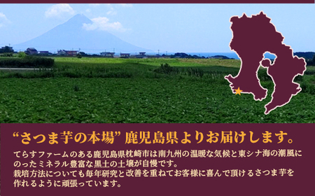 シルクスイート 〈5キロ〉 サツマイモ さつまいも 鹿児島県 A3-346_野菜 さつまいも いも サツマイモ 薩摩芋  野菜  いも イモ 芋_【配送不可地域：離島】【1167014】