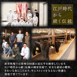 【8月発送】近江牛 牛すじ 500g 冷凍 【 牛すじ 】