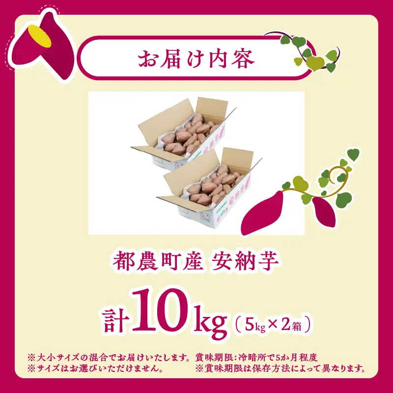 ≪先行予約≫都農町産安納芋(計10kg) 野菜 芋 イモ 国産_T016-0027
