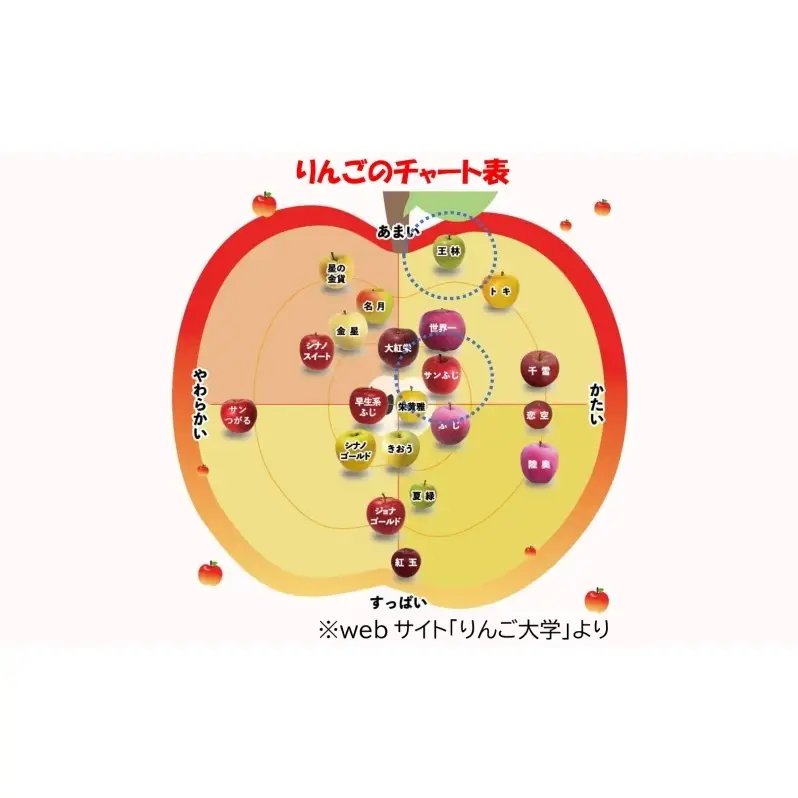 りんご詰合せ サンふじ王林 青森県産 家庭用 りんご詰合せ【約5kg】【12月発送】