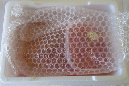 エゾバフンウニ塩水パック80～90g×3P、醤油いくら80g×2P D-59037
