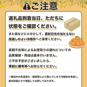 令和9年1月発送予定 ご贈答◎ ギフト◎ 完熟 足摺ぽんかん 10kg デコポンの親 みかん 柑橘 果物 果実 ミカン ぽんかん ポンカン フルーツ おやつ デザート 10キロ 美味しい おいしい 井村農園【R01494】