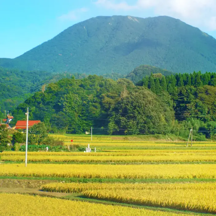 令和8年産 美郷つや姫 10kg（5kg×2袋）【白米 2026年産】