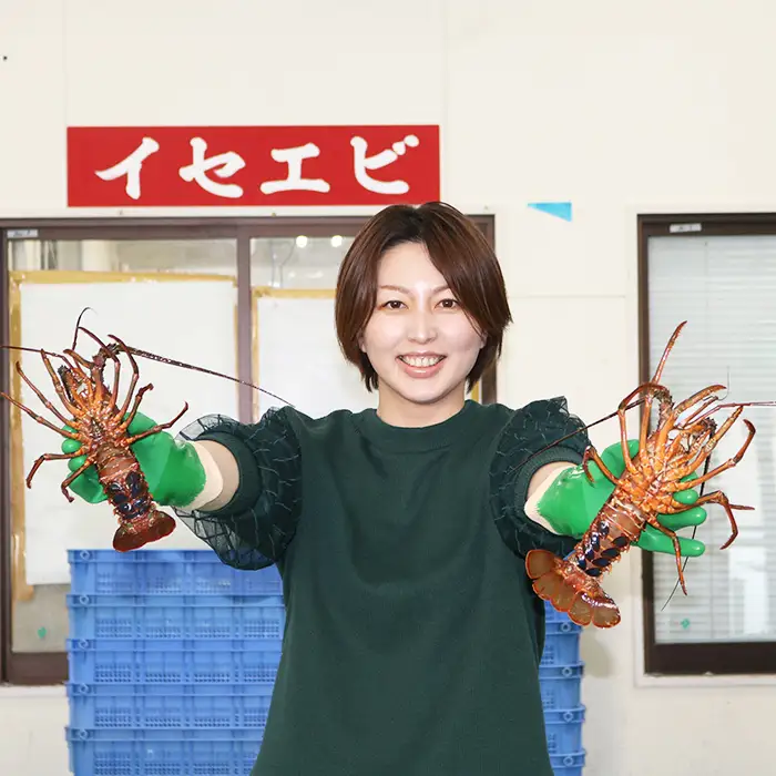 【漁協直送！】 房州黒潮育ち『天然 活 伊勢エビ』1kg以上（4～6尾） 《期間限定》《数量限定》《配送日指定必須》《配送指定 11月末日まで》伊勢海老 イセエビ いせえび 刺身 活魚 [ウオポート][0050-0089]