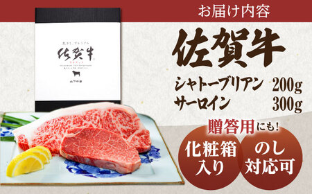 佐賀牛 シャトーブリアンとサーロインの極上セット計500g HAD145 シャトーブリアンシャトーブリアンシャトーブリアンシャトーブリアン