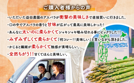【数量限定・2027年4月～発送】富良野 益田農園産 極太 グリーンアスパラガス ≪M～3L混合≫ 約1kg アスパラ 北海道 富良野市 緑アスパラ 野菜 とれたて 朝採り 限定 数量限定 (益田農園)