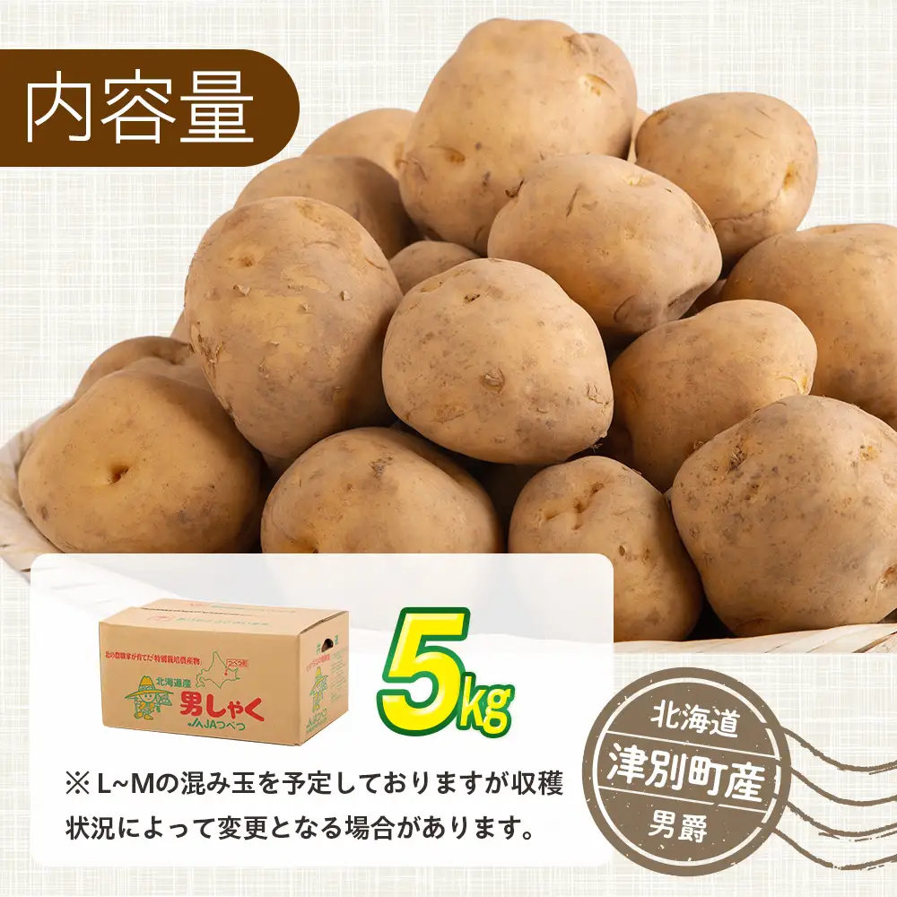 R8年産先行受付 じゃがいも 5kg 特別栽培（男爵） | ジャガイモ 芋 男爵 馬鈴薯 大容量 新鮮 野菜 煮物 カレー シチュー ポテト 保存 特産 産地直送 北海道 津別町 送料無料