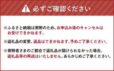 有機JAS認定 季節の野菜詰め合わせ ～有機野菜セットC～ 