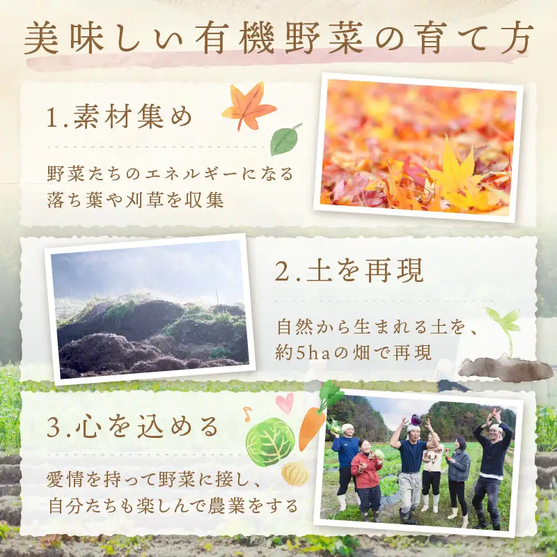 【4回定期便】＜てんとうむしばたけ＞オーガニック野菜セット　有機野菜6～7種(2人用) 京都直送 野菜 詰め合わせ 野菜セット 国産 京都産 ふるさと納税 野菜