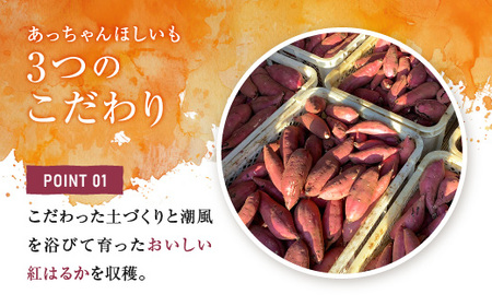 訳あり 干しいも 1kg 干し芋 茨城 _CL006-4 
