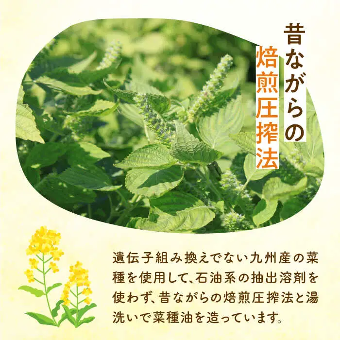 菜の花油 【全3回定期便】 一番搾り 2本 1本 [ABAQ031] 菜の花油