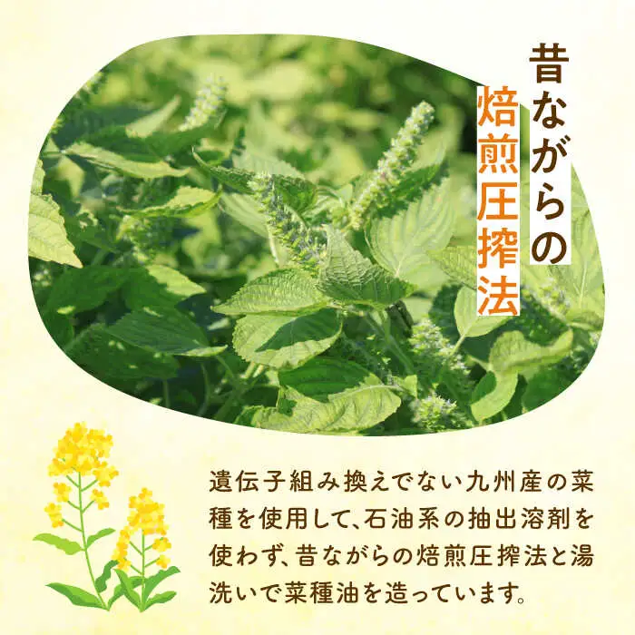 菜の花油 【全12回定期便】 菜の花 2本 [ABAQ057] 菜の花油