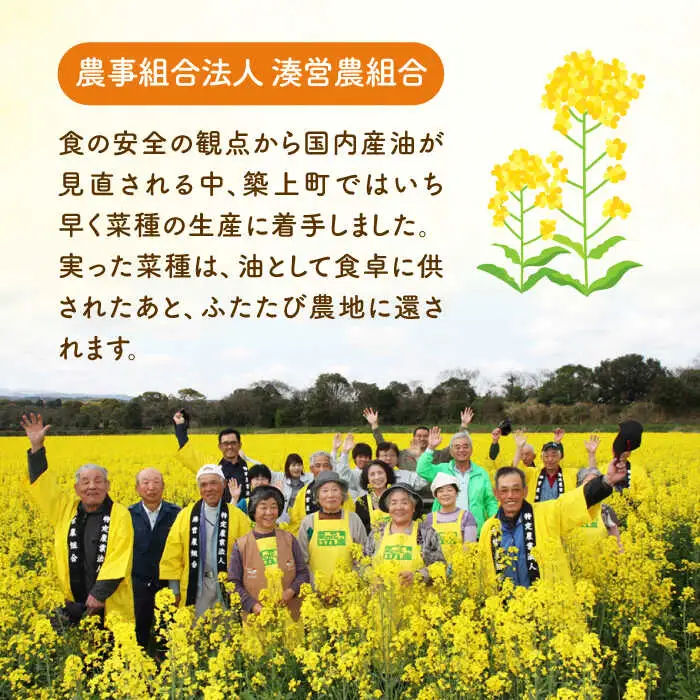 ドレッシング 【全3回定期便】 菜の花 一番搾り 3本 [ABAQ076] ドレッシング
