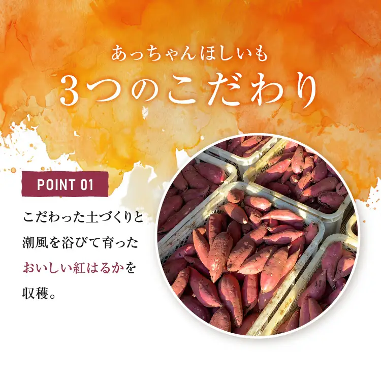 訳あり 干しいも 3kg 干し芋 茨城 _CL010-3