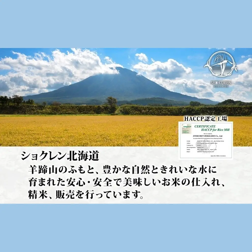 ゆめぴりか 精米 特A 北海道産 ゆめぴりか【5kg×2袋 計10kg】