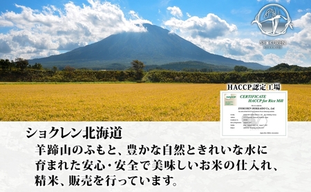 ななつぼし 倶知安町産 特A 精米 道産米 ななつぼし【5kg】【定期便全4回】