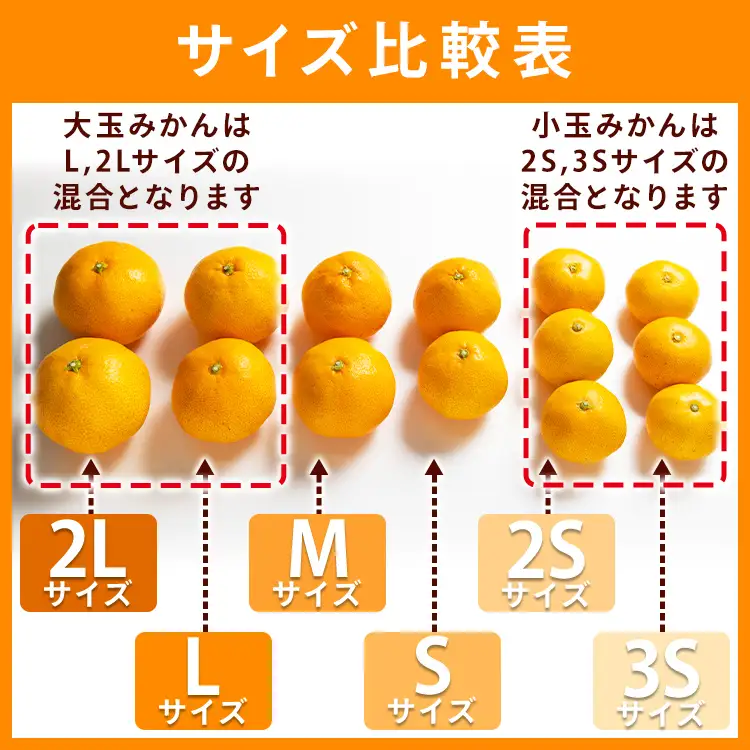柑橘 山北みかん 大玉サイズ L・2L混合 約5kg 柑橘 yk-0079