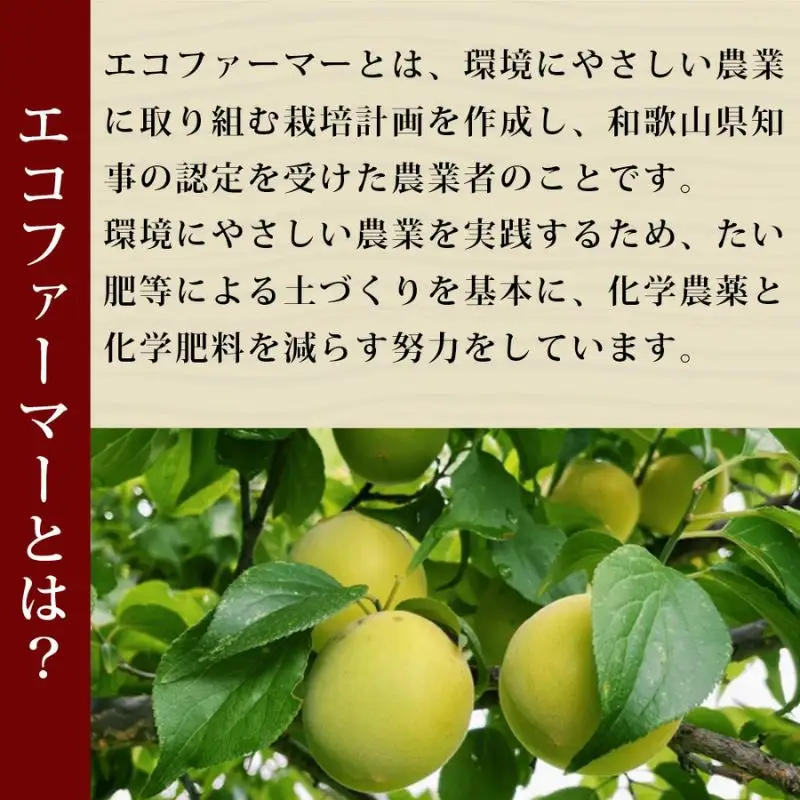 梅干し こだわり熟うま南高梅（はちみつ梅）250g×2個 塩分 約7％ sakachu003A【sakachu003A】