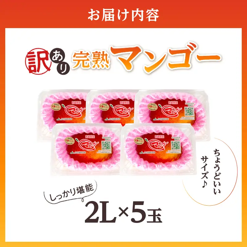 先行予約 訳あり 完熟マンゴー 2L×5玉（パック）マンゴー 宮崎 果物 フルーツ くだもの 2027年 国産 高級 マンゴージュース フルーツサンド 南国フルーツ デザート おすすめ 家庭用 ワケアリ おすそ分け 冷蔵 綾町 送料無料 【JA綾町】_A0114-1082