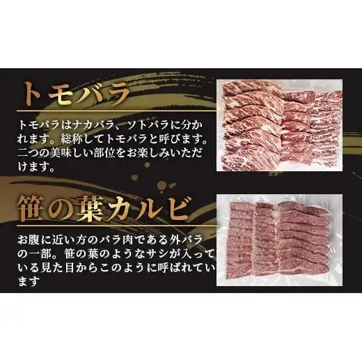 石垣島産 黒毛和牛 新里牛 カルビ系焼肉用 (300g×2) 合計600g (ナカバラ・ソトバラ・笹の葉カルビから２つおまかせ) SZ-4