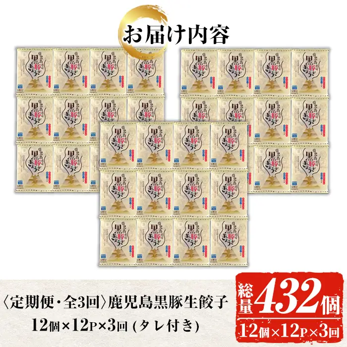 【3か月定期便】鹿児島 黒豚生餃子 144個×3回 餃子【00-008-19-TK】