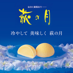 和菓子 萩の月 6個入り 菓匠三全 和菓子