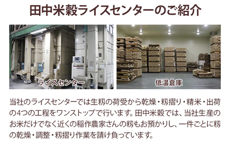 【令和5年産】 福岡県 大木町産 ひのひかり 5分づき 10kg (3～7分付米は玄米10kgより都度精米を行うため、お届け重量は10kg以下となります。詳細はページ内よりご確認ください) BC01_5b