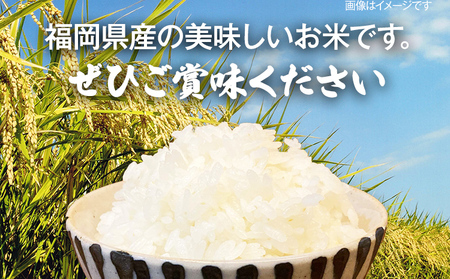 【令和5年産】 福岡県 大木町産 元気つくし 5分づき 10kg　(3～7分付米は玄米10kgより都度精米を行うため、お届け重量は10kg以下となります。詳細はページ内よりご確認ください)　BC02_5b