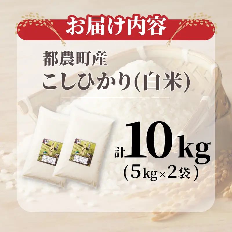 ≪都農町産≫新米コシヒカリ(計10kg) 米 お米 ご飯 国産_T031-0025【人気 ご飯 お米 ギフト 産米 お米 食品 お米 精米 白米 新米 こしひかり 有洗米 米飯 こめ 米 飯米 ライス 米 ごはん おにぎり おむすび 米 お漬物  お弁当 特産品 お米 米穀 地域の品 お米 ライス 米 宮崎県産 お米 都農町 お米  令和8年産 お米】
