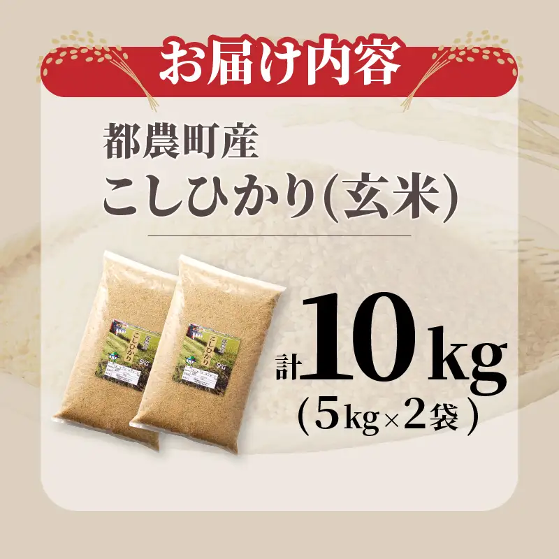 ≪都農町産≫新米コシヒカリ(玄米)計10kg 米 お米 ご飯 国産_T031-0045【人気 米 ギフト 米 食品 米 精米 白米 こしひかり 有洗米  こめ ライス ごはん おにぎり おむすび お漬物  お弁当 特産品 米 地域の品 米 宮崎県産 米 都農町 米  令和8年産 米】