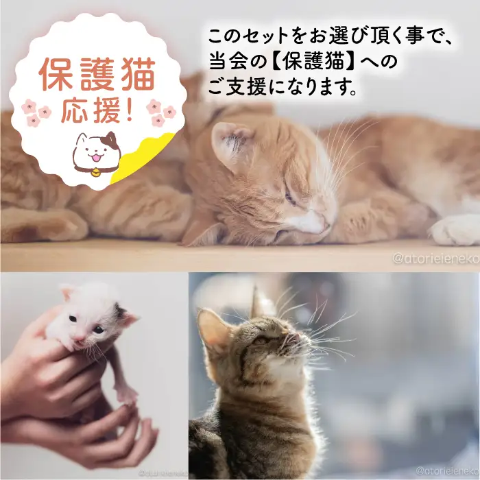 【保護猫応援！】グッズセット（詰め合わせBタイプ）13種類の中から5-8点[AOBR007]