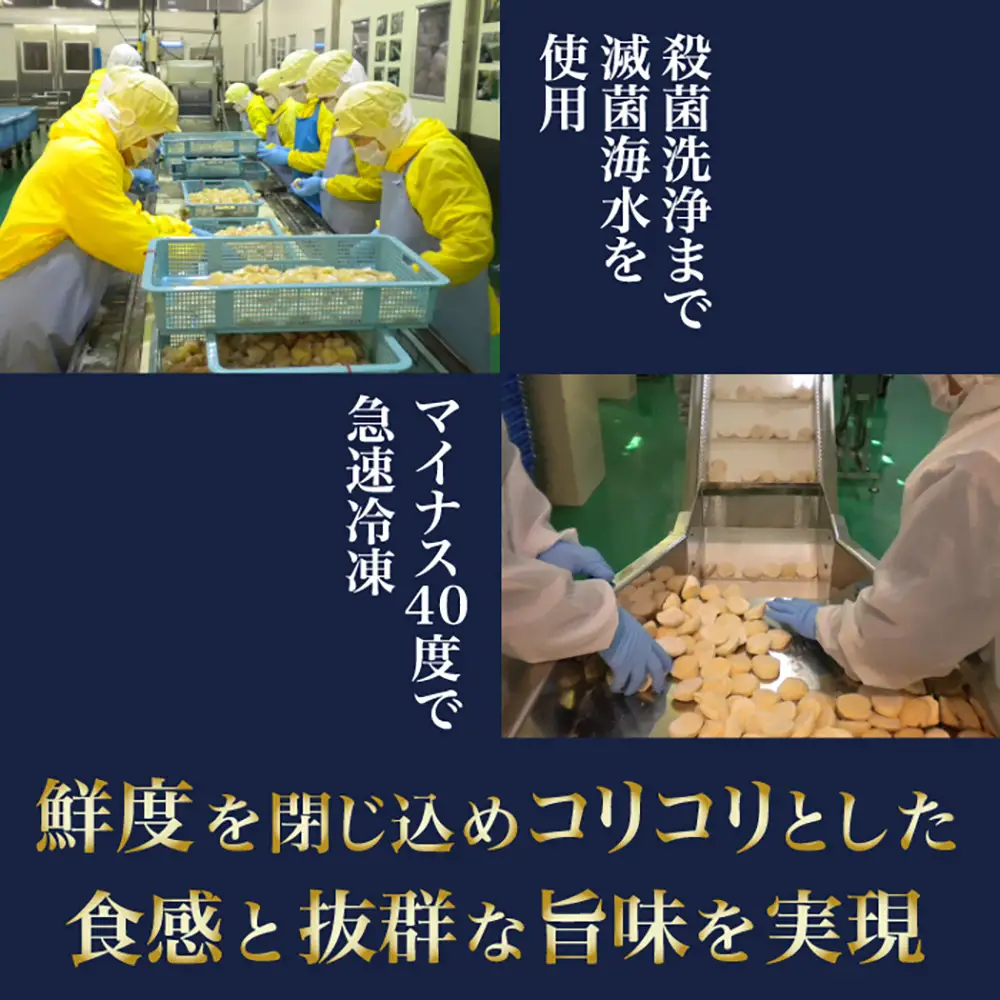 とれたてを急速冷凍北海道猿払産　冷凍ホタテ貝柱4Sサイズ　1kg（51~60玉）【0104609】