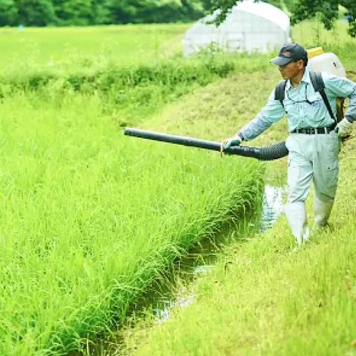 令和７年度産AKOMEYA TOKYO特別栽培米 コシヒカリ 窒素充填2kg×3袋【コシヒカリ こしひかり 真空パック 減農薬 特別栽培米 贈答用 プレゼント ギフト アコメヤ B-303 】