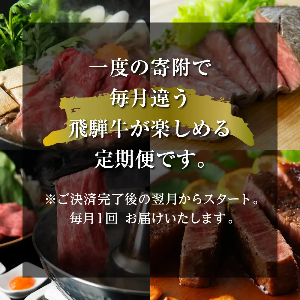 大容量 《まるごと定期便》12回 飛騨牛三昧 大容量 [S600]