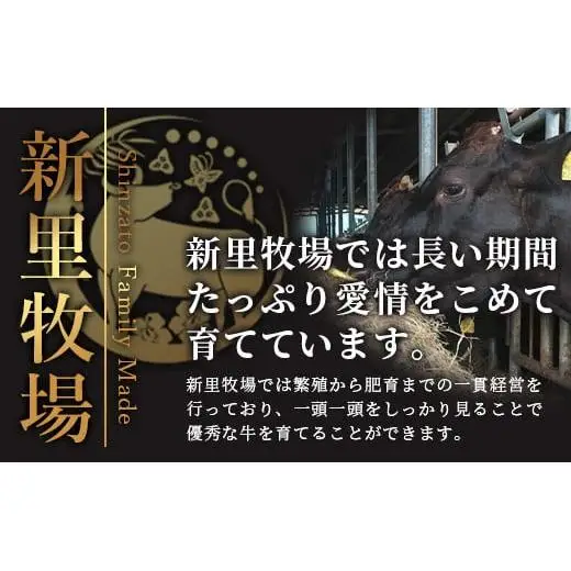 石垣島産 黒毛和牛 新里牛 ランプステーキ (250g×1) 250g SZ-9