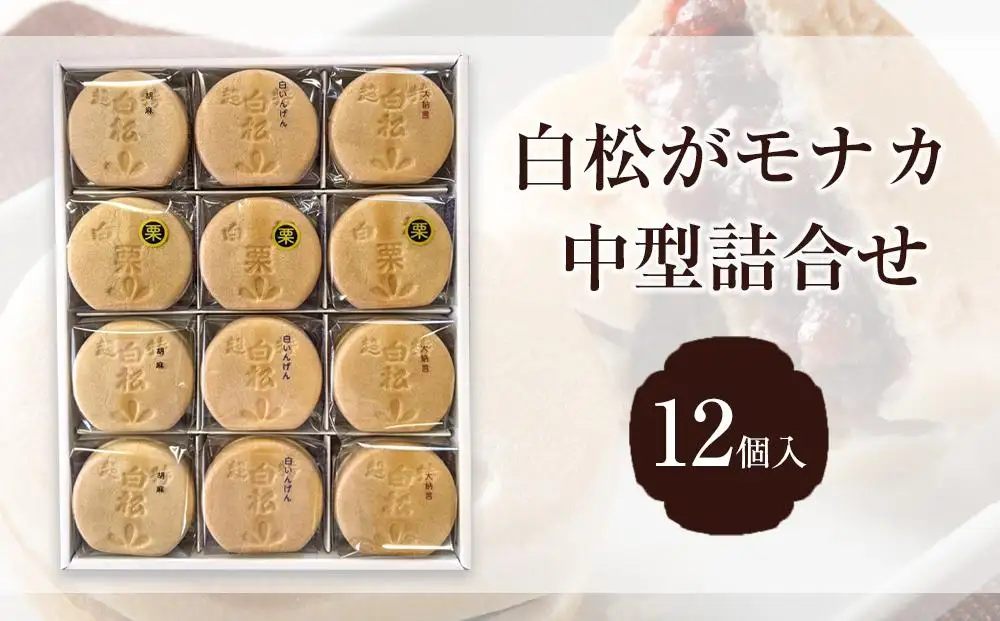 白松がモナカ 中型詰合せ 12個入【モナカ 和菓子 詰め合わせ 仙台銘菓 白松がモナカ 中型詰合せ ふるさと納税 仙台市 名物菓子】