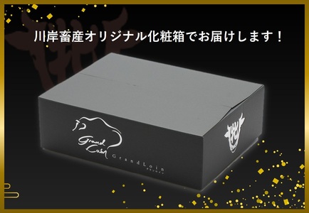 【神戸牛 牝】上バラ すき焼き・しゃぶしゃぶ用 500g 川岸畜産 (kawagishi-32)