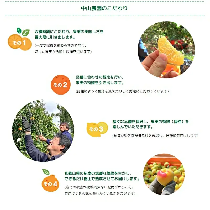 【先行予約】【期間限定・12/31まで】中山農園のポンカン 1kgとドライフルーツのセット ※1月以降順次発送予定※ / 和歌山県 ポンカン ぽんかん フルーツ 果物 柑橘 田辺市 イチジク いちじく 無花果 【nak027】