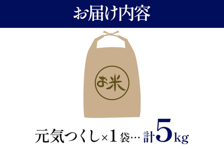 令和6年度産 福岡県産 元気つくし 5kg 1袋 白米 お米 ご飯 米 精米 送料無料 お取り寄せグルメ お取り寄せ 福岡 お土産 九州 福岡土産 取り寄せ グルメ 福岡県