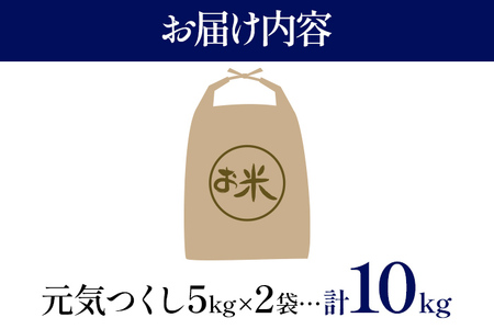 令和6年度産 福岡県産 元気つくし 10kg(5kg×2袋) 白米 お米 ご飯 米 精米 送料無料 お取り寄せグルメ お取り寄せ 福岡 お土産 九州 福岡土産 取り寄せ グルメ 福岡県